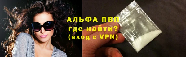 ECSTASY Белокуриха