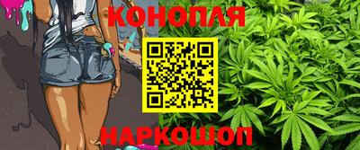 шишки Можга