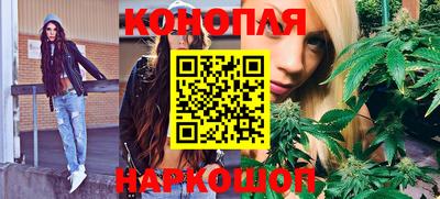 шишки Можга
