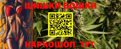шишки Можга